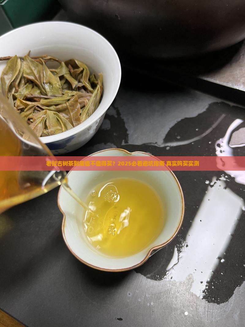 购买购老挝古树茶