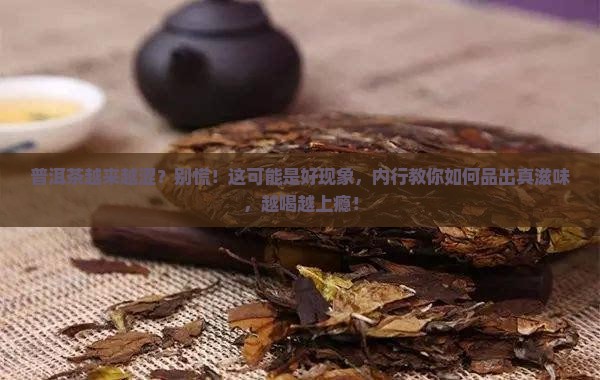 普洱茶越来越涩