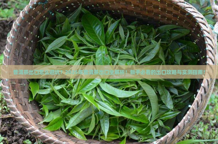 对普洱茶的出口的建议