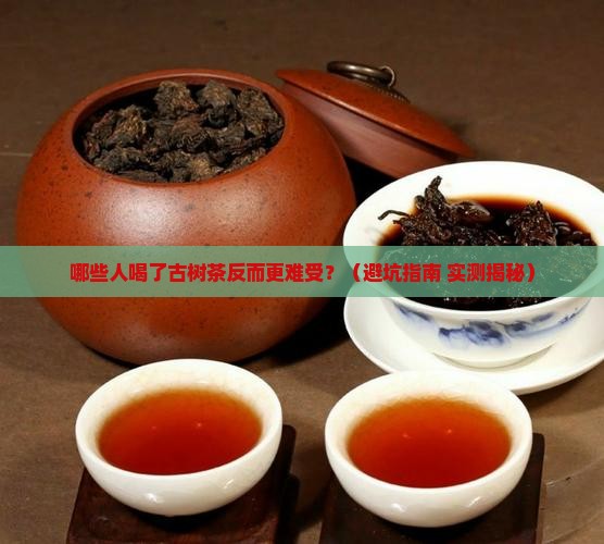 什么人不适合喝古树茶