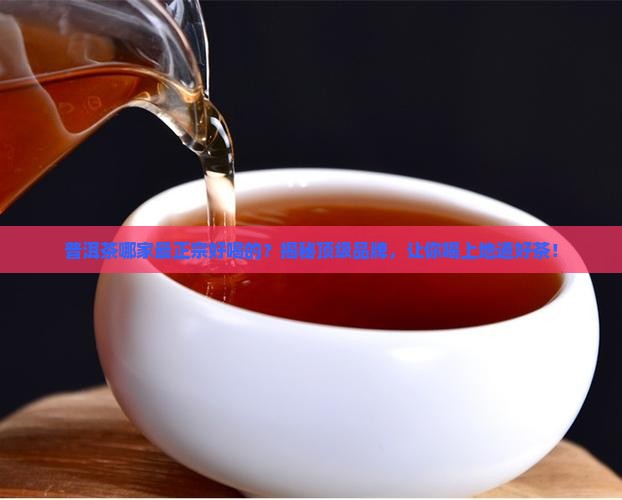 普洱茶哪家最正宗好喝的