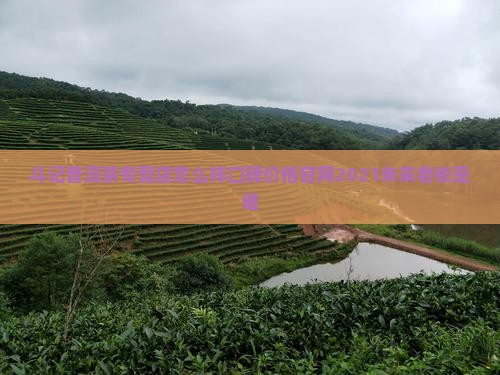 斗记普洱茶专营