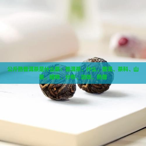 公斤熟普洱茶是什么茶