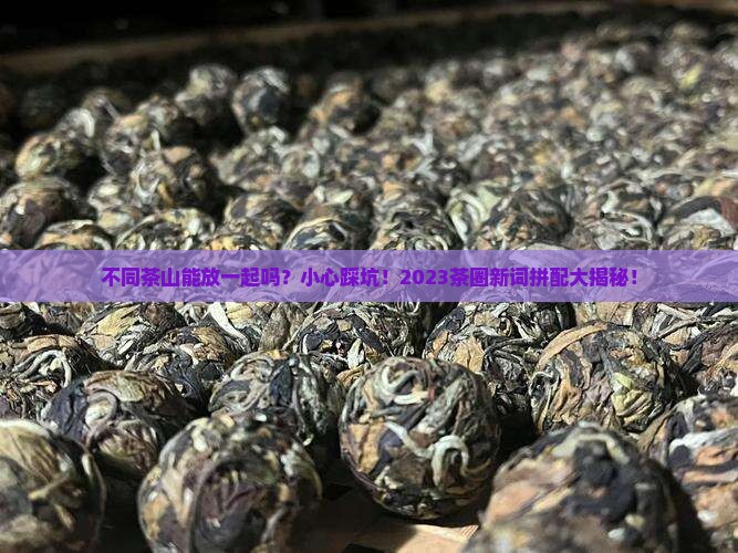 不同茶山能放一起吗