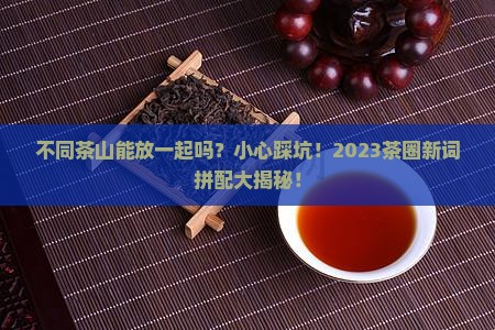 不同茶山能放一起吗