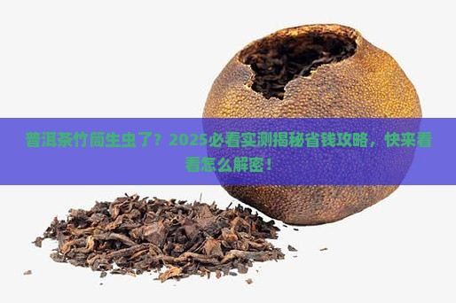 普洱茶的竹筒生虫了