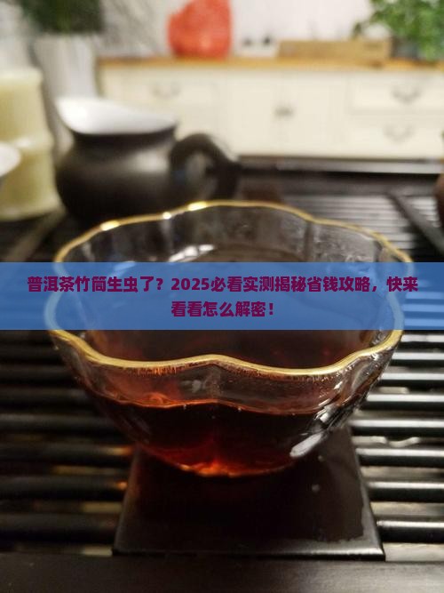 普洱茶的竹筒生虫了