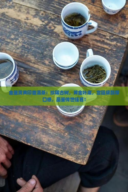 金茎贡黄印普洱茶