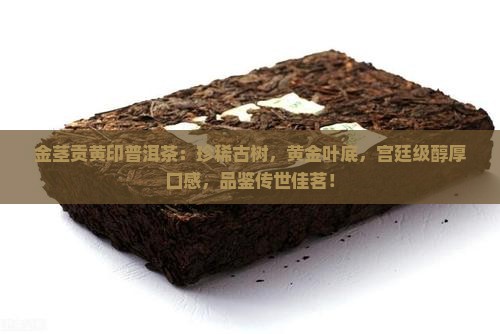 金茎贡黄印普洱茶