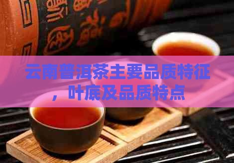 云南普洱茶主要品质特征