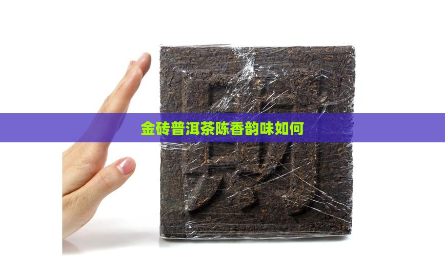 陈香金砖普洱茶好吗