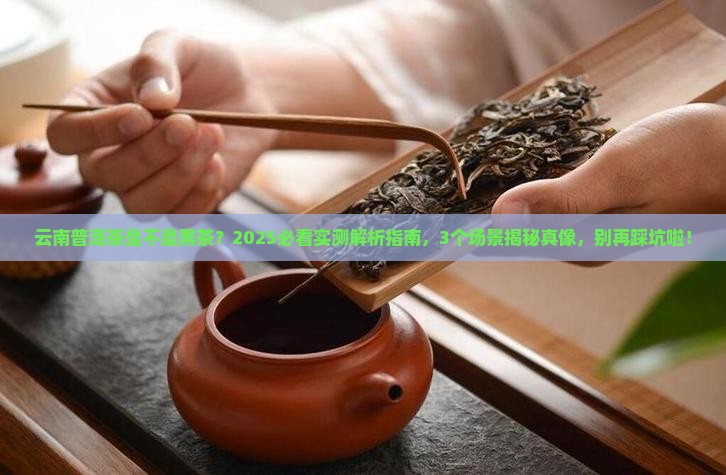 云南普洱茶是否黑茶