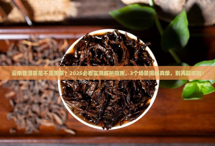 云南普洱茶是否黑茶