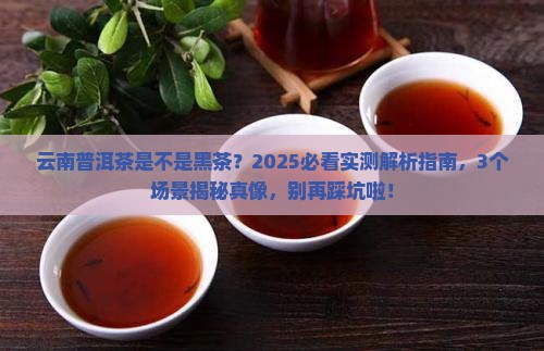 云南普洱茶是否黑茶