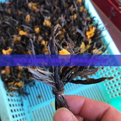 班章普洱茶老字号