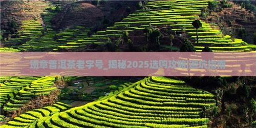 班章普洱茶老字号