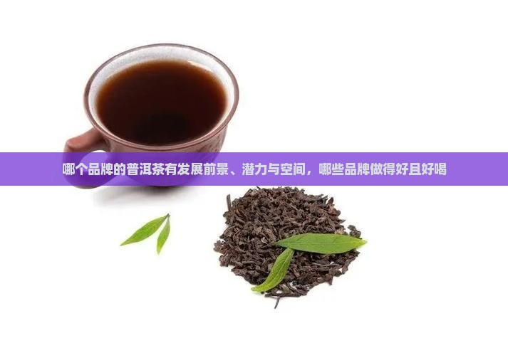 哪个品牌的普洱茶有发展
