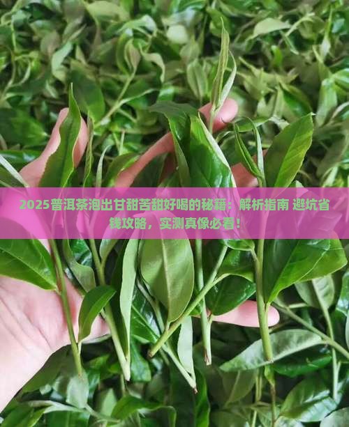 普洱茶怎样泡甘甜苦甜好喝