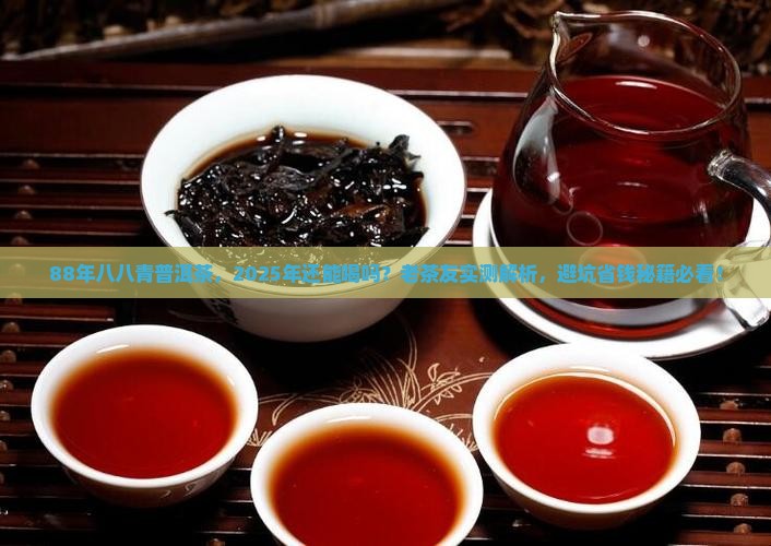 88年的八八青普洱茶