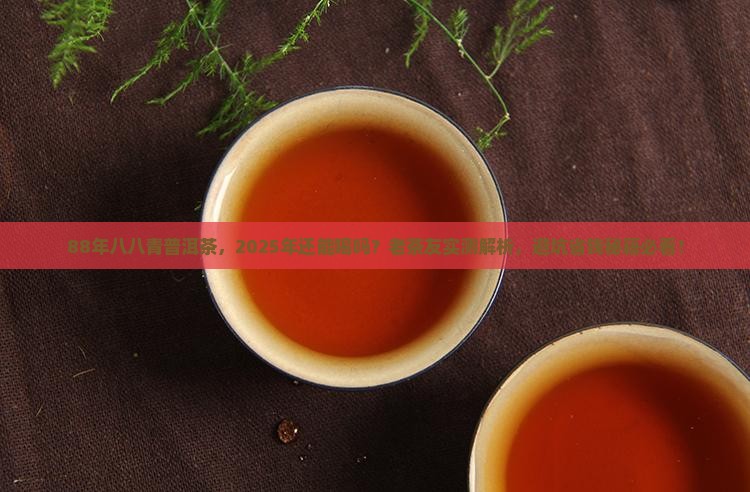 88年的八八青普洱茶