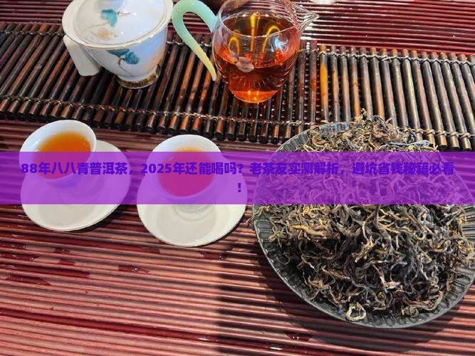 88年的八八青普洱茶