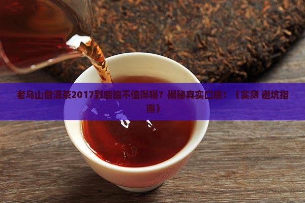 老乌山普洱茶2017