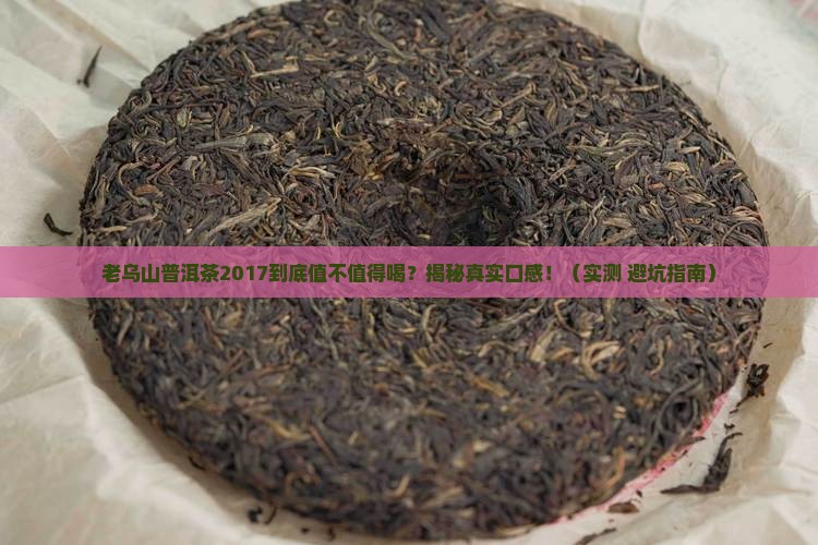 老乌山普洱茶2017