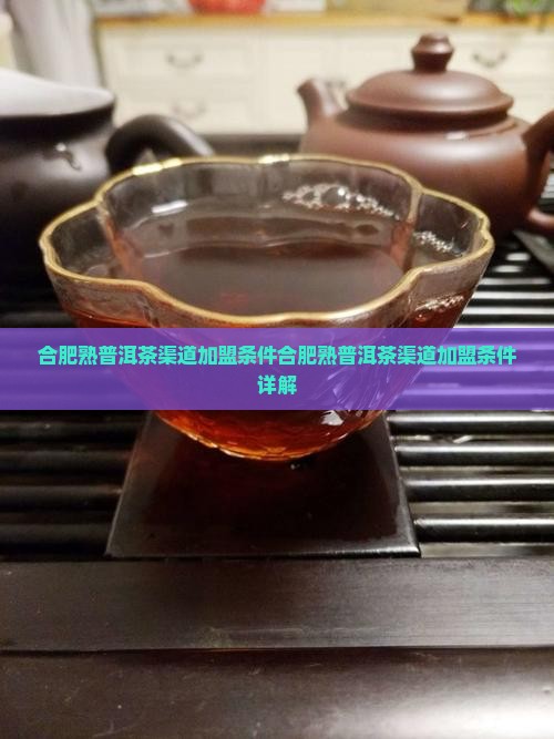 合肥熟普洱茶渠道加盟条件