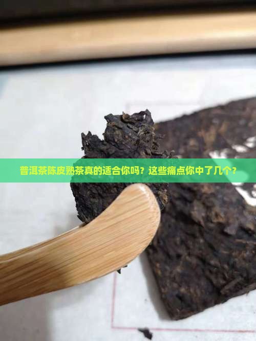 普洱茶陈皮熟茶