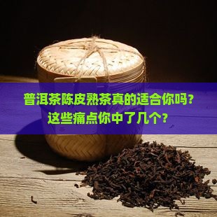 普洱茶陈皮熟茶