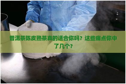 普洱茶陈皮熟茶