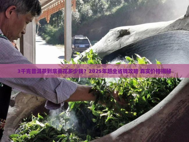 3千克的普洱茶多少钱