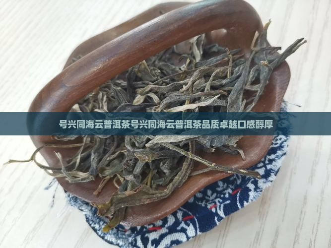 号兴同海云普洱茶