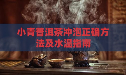 小青柑普洱茶怎么洗几度水