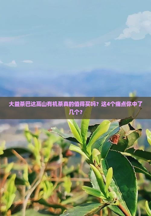 大益茶巴达高山有机茶