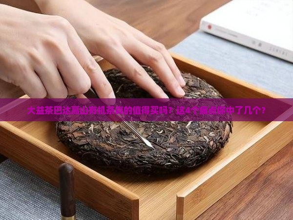 大益茶巴达高山有机茶