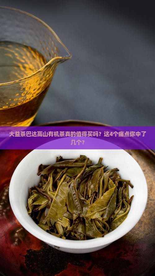 大益茶巴达高山有机茶