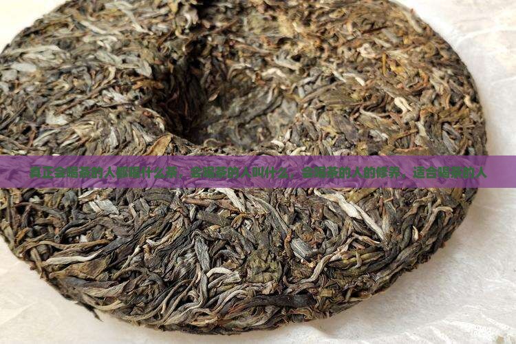 真正会喝茶的人都喝什么茶