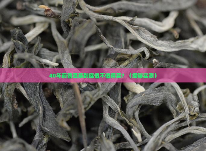 40年前普洱茶