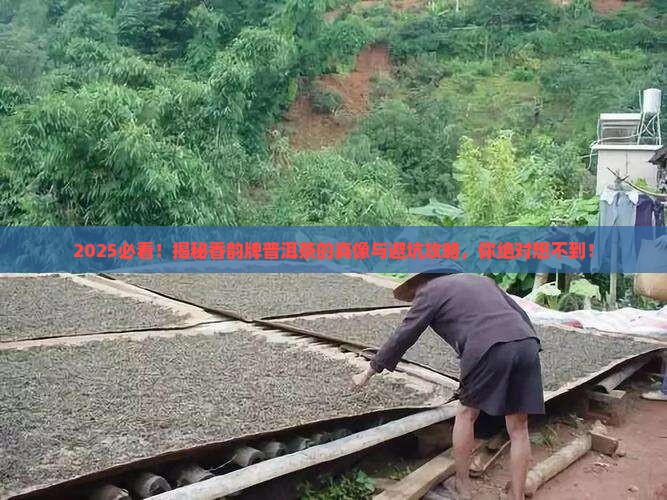 有香韵牌子的普洱茶吗 有香韵牌子的普洱茶吗