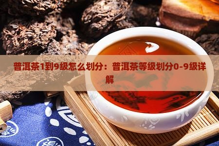 普洱茶1到9级怎么划分
