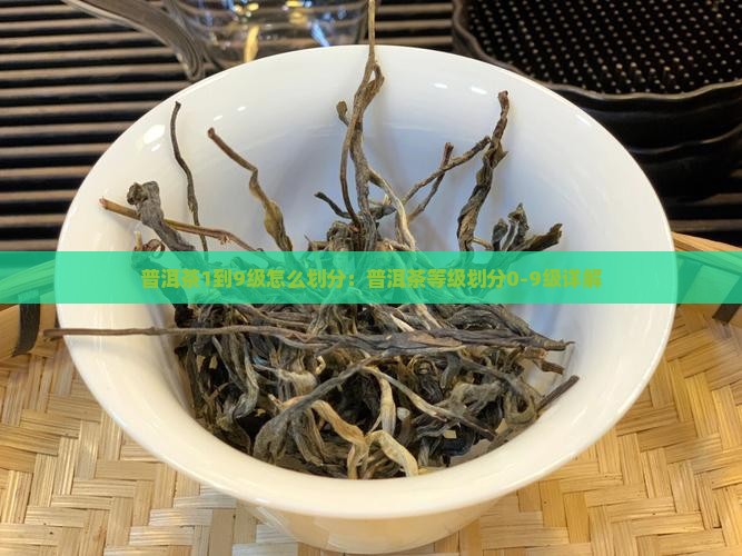 普洱茶1到9级怎么划分