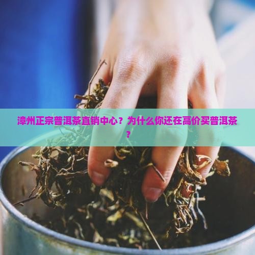 漳州正宗普洱茶直销中心