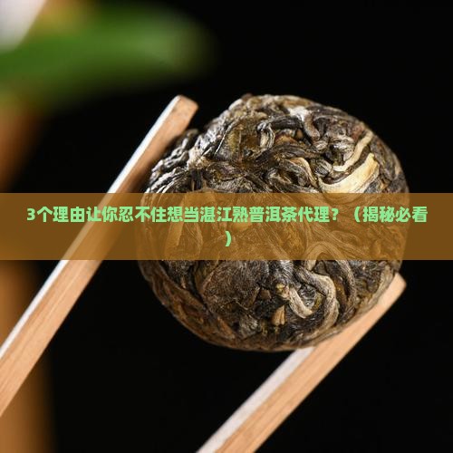 湛江熟普洱茶代理招商
