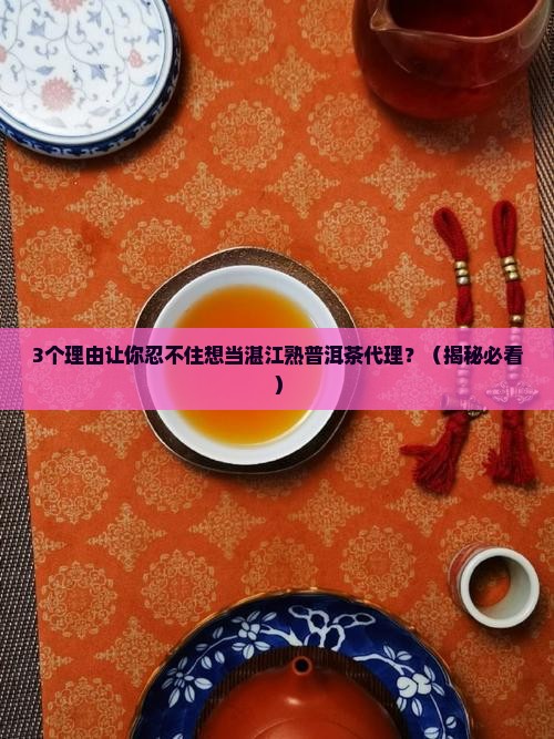 湛江熟普洱茶代理招商