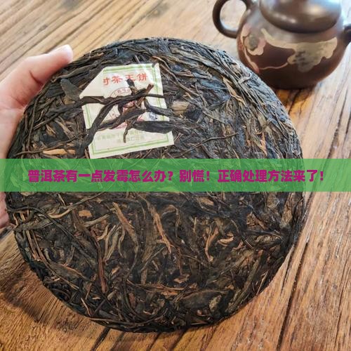 普洱茶有一点发霉怎么办