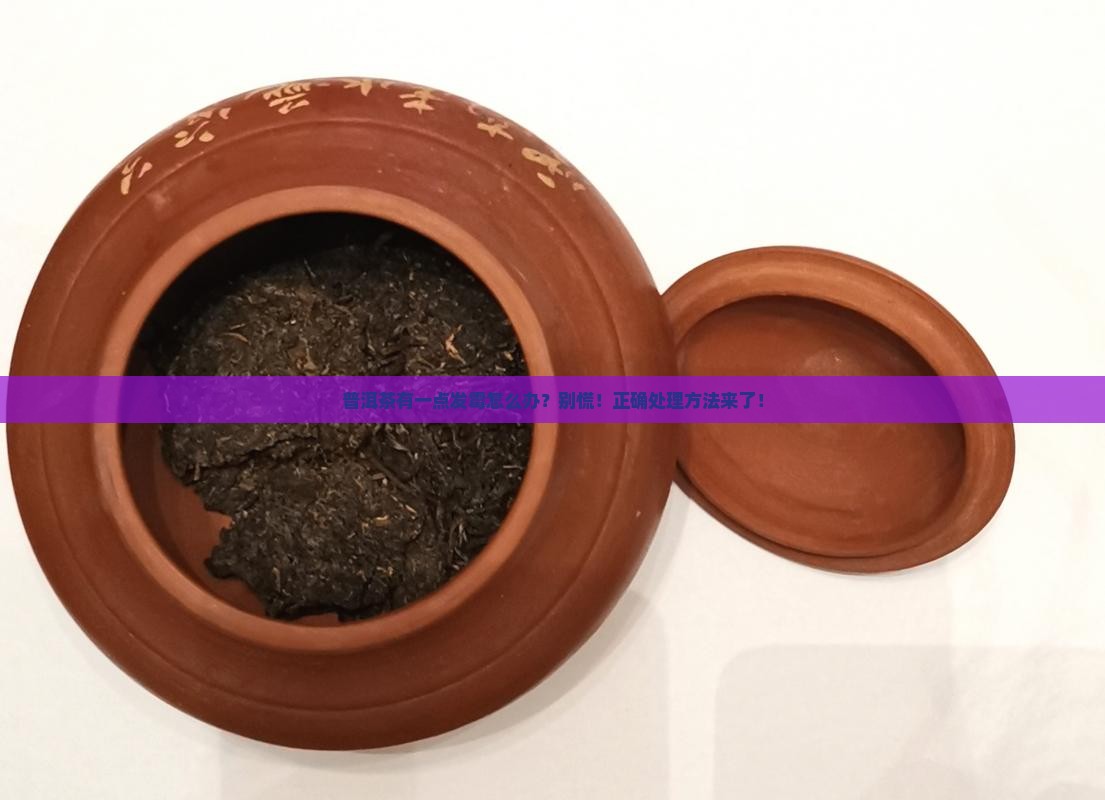 普洱茶有一点发霉怎么办