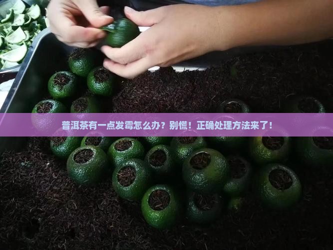 普洱茶有一点发霉怎么办