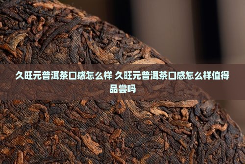 久旺元普洱茶口感怎么样