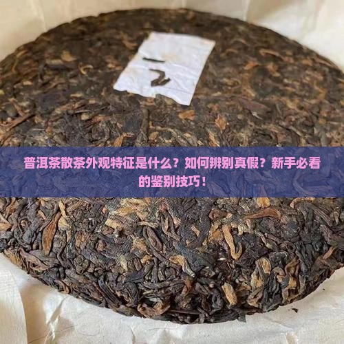普洱茶散茶外观特征是什么